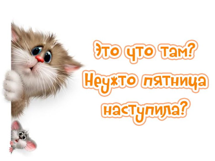 Пятница - и это значит....